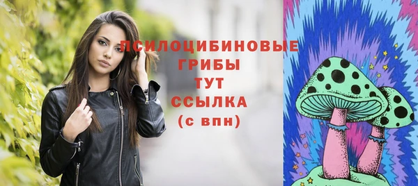 ALPHA PVP Алзамай