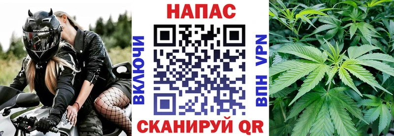 Конопля сатива  Калязин 